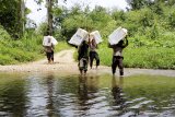 DISTRIBUSI LOGISTIK PEMILU DI PERBATASAN. Empat anggota TNI/Polri memanggul logistik Pemilu serentak 2019 melintasi sungai menuju Dusun Buntan di Desa Bungkang, Kecamatan Sekayam, Kabupaten Sanggau, Kalimantan Barat, Selasa (16/4/2019). Sejumlah anggota TNI/Polri harus berjalan kaki memanggul logistik Pemilu untuk didistribusikan ke tiga Tempat Pemungutan Suara (TPS) di Dusun Bantan yang berbatasan langsung dengan Malaysia. ANTARA FOTO/Agus Alfian/jhwANTARA FOTO/AGUS ALFIAN (ANTARA FOTO/AGUS ALFIAN)