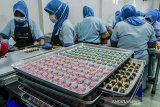 Pekerja menyelesaikan produksi kue kering (kukis) di Ina Cookies Factory, Bandung, Jawa Barat, Rabu (24/4/2019). Industri makanan kue kering Ina Cookies tersebut memproduksi kue kering hingga 7000 toples perhari guna memenuhi pesanan dari sejumlah wilayah di Indonesia, Malaysia dan Singapura dengan terus mengembangkan varian kue dan rasa seperti Putri Ice Cream dan Nastar Blueberry yang dipasarkan dengan kisaran harga Rp. 50 ribu hingga Rp. 150 ribu. ANTARA JABAR/Novrian Arbi/agr