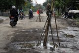 Sejumlah pengendara kendaraan bermotor melintas di jalan raya yang ditanami pohon pisang di ruas Desa Bulang,  Prambon, Sidoarjo, Jawa Timur, Jumat (26/4/2019). Jalur alternatif perbatasan antara Sidoarjo-Mojokerto tersebut rusak parah sepanjang 1 Km dengan kedalaman 20-30 cm disebabkan banyaknya kendaraan truk besar yang melintas dan saluran drainase kurang efektif saat musim hujan. Antara Jatim/Umarul Faruq/zk.