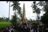 Ribuan warga mengiringi arak-arakan Bade atau menara bertingkat sembilan yang berisi jenazah anggota keluarga dari pahlawan nasional I Gusti Ngurah Rai dalam prosesi upacara Ngaben di Desa Carangsari, Badung, Bali, Senin (29/4/2019). Kremasi terhadap jenazah putra kedua dan cucu dari pahlawan nasional I Gusti Ngurah Rai tersebut diiringi oleh ribuan warga. ANTARA FOTO/Nyoman Hendra Wibowo/nym