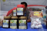 Produsen pala asal Belanda berencana investasi Rp4,2 triliun di Papua Barat