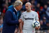 Manuel Pellegrini akan melatih Real Betis