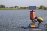 Warga mengontrol alat automatic fish feeder di areal tambak ikan bandeng di Karangsong, Indramayu, Jawa Barat, Jumat (3/5/2019). Petambak daerah setempat mulai menerapkan teknologi berbasis aplikasi untuk mengontrol tambak ikan karena dianggap lebih efisien untuk pemberian pakan serta dapat mempercepat siklus panen. ANTARA JABAR/Dedhez Anggara/agr