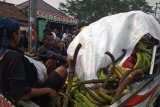 Pisang hasil pertanian akan diserahkan kepada bupati sebagai bukti kecintaan kepada kepala daerah