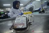 Petugas melakukan pencatatan kantong darah di Laboraorium PMI Kota Bandung, Jawa Barat, Senin (6/5/2019). PMI Kota Bandung menargetkan pendistribusian darah ke berbagai Rumah Sakit di Bandung pada Bulan Ramadan sebanyak 10.000 kantong darah. ANTARA JABAR/Raisan Al Faris/agr