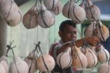 Pedagang menata kelapa bakar yang telah dikupas di Desa Peunaga Rayeuk, Kecamatan Meureuboe, Aceh Barat, Rabu (8/5/2019). Kelapa bakar khas Ramadhan untuk meningkatkan daya tahan tubuh itu dijual Rp7.500 hingga Rp10.000 per buah tergantung ukuran. (Antara Aceh/Syifa Yulinnas)