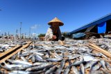 Pekerja menjemur ikan asin di Pelabuhan Ikan Muncar, Banyuwangi, Jawa Timur, Rabu (8/5/2019). Pelaku usaha pembuatan ikan asin di daerah itu mengaku, minimnya pasokan bahan baku ikan dari nelayan, mengakibatkan menurunya produksi ikan asin yang biasanya dalam sehari mampu menghasilkan 5 kwintal ikan asin saat ini hanya 2,5 kwintal. Antara Jatim/Budi Candra Setya/zk.