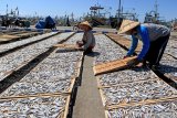 Pekerja menjemur ikan asin di Pelabuhan Ikan Muncar, Banyuwangi, Jawa Timur, Rabu (8/5/2019). Pelaku usaha pembuatan ikan asin di daerah itu mengaku, minimnya pasokan bahan baku ikan dari nelayan, mengakibatkan menurunya produksi ikan asin yang biasanya dalam sehari mampu menghasilkan 5 kwintal ikan asin saat ini hanya 2,5 kwintal. Antara Jatim/Budi Candra Setya/zk.