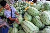 Pedagang menata buah semangka dagangannya di Kawasan Pasar Bina Usaha Meulaboh, Aceh Barat, Kamis (9/5/2019). Sejak memasuki bulan suci Ramadhan, penjualan buah semangka mengalami meningkat hingga 200 persen daripada hari biasa dengan harga jual Rp 4.000 sampai Rp 6.000 per kilogram. (Antara Aceh/Syifa Yulinnas)