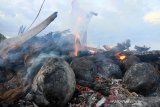 Seorang warga membakar kelapa muda di pinggir Pantai Desa Peunaga Pasi, Kecamatan Meureuboe, Aceh Barat, Jumat (10/5/2019). Kebutuhan kelapa bakar khas Ramadhan yang dijual Rp 7.500 - Rp 10.000 per buah untuk menu buka puasa, meningkat dari 60 buah perhari menjadi 100 sampai 150 buah per hari. (Antara Aceh/Syifa Yulinnas)