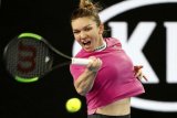 Petenis Halep hadapi Bertens di final turnamen Madrid Open