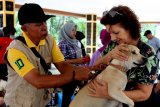 Petugas kesehatan menyuntikan vaksin rabies pada hewan peliharaan masyarakat saat 'Pet Care Day' atau 'Hari Peduli Hewan Peliharaan' di Lapangan Merdeka, Ambon, Maluku, Sabtu (11/5/2019). Kegiatan yang dilaksanakan oleh Dinas Pertanian Provinsi Maluku bekerjasama dengan Dinas Pertanian dan Ketahanan Pangan Kota Ambon tersebut, petugas kesehatan hewan melayani konsultasi kesehatan hewan dan vaksinasi rabies. ANTARA FOTO/Izaac Mulyawan/nym.