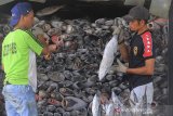 Pekerja memuat ikan ke dalam truk di tempat pelelangan ikan Karangsong, Indramayu, Jawa Barat, Sabtu (11/5/2019). Permintaan ikan dari berbagai daerah selama bulan Ramadhan meningkat hingga 50 persen sehingga beberapa jenis ikan mengalami kenaikan harga, seperti ikan kakap naik dari harga Rp30 ribu per kilogram menjadi Rp55 ribu per kilogram. ANTARA JABAR/Dedhez Anggara/agr