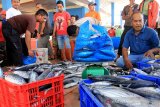 Sejumlah pedagang menyortir dan menata ikan hasil tangkapan nelayan di Pelabuhan Ujong Baroh, Kecamatan Johan Pahlawan, Aceh Barat, Senin (13/5/2019). Sejak sepekan terakhir hasil tangkapan nelayan setempat mengalami penurunan sekitar 30 persen dari biasanya akibat pengaruh cuaca buruk disertai gelombang tinggi sehingga harga ikan segar di pasaran mengalami kenaikan. (Antara Aceh/Syifa Yulinnas)