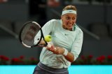 Cedera betis bakal gagalkan momentum Kvitova di Prancis Open