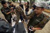 Warga diawasi anggota komunitas Animal Lovers Lhokseumawe bermain dengan ular Phiton Sumatera (reticulatus) di kawasan Taman Riyadah Lhokseumawe, Aceh, Minggu (19/5/2019). Masyarakat setempat memanfaatkan waktu menunggu buka puasa (ngabuburit) dengan belajar mengenal lebih dekat berbagai jenis reptil seperti ular phiton, ular Boiga atau ular cincin emas, Kadal Panana, Musang dan Kala Jengking. (ANTARA FOTO/Rahmad/foc)