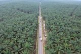 Foto udara jalur alternatif mudik lintas barat Jambi-Sumbar di Petajen, Bajubang, Batanghari, Jambi, Senin (20/5/2019). Jalur lintas barat yang menghubungkan Kota Jambi-Muarojambi-Batanghari tersebut dapat digunakan pemudik dari arah Kota Jambi menuju Padang, Sumatera Barat atau sebaliknya untuk mempersingkat waktu tempuh, namun perlu meningkatkan kewaspadaan utamanya pada malam hari karena melintasi perkebunan dan minim lampu penerangan jalan. ANTARA FOTO/Wahdi Septiawan/foc.
