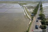 Foto udara jalur alternatif Indramayu-Cirebon desa Balongan, Indramayu, Jawa Barat, Selasa (21/5/2019). Jalan tersebut dapat digunakan pemudik sebagai jalur alternatif menuju Cirebon dan Jateng ketika terjadi kepadatan di jalur utama Pantura saat arus mudik mendatang. ANTARA JABAR/Dedhez Anggara/agr