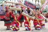 Sejumlah perempuan suku Dayak menari di acara pembukaan Pekan Gawai Dayak (PGD) ke-34 di Rumah Radakng Pontianak, Kalimantan Barat, Senin (20/5/2019). Dalam PGD yang digelar masyarakat Dayak sebagai bentuk rasa syukur kepada Jubata (Tuhan) atas hasil panen tersebut juga diserukan untuk mendoakan Indonesia agar senantiasa damai dan bersatu. ANTARA FOTO/Jessica Helena Wuysang/