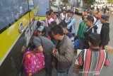 Sejumlah pemudik membawa barangnya ke bagasi bus saat mudik bareng pedagang martabak Bali di Denpasar, Kamis (30/5/2019). Ratusan pedagang yang berasal dari Jawa Tengah tersebut menggelar mudik bersama menggunakan angkutan bus untuk mencegah anggotanya mengendarai sepeda motor sehingga mengurangi risiko kecelakaan. ANTARA FOTO/Nyoman Budhiana.