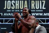 Pertarungan Joshua versus Pulev, opsinya di Kroasia