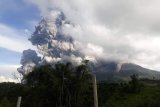 Gunung Sinabung menyemburkan material vulkanik saat erupsi, di Karo, Sumatera Utara, Minggu (9/6/2019). Gunung Sinabung berstatus Siaga (Level lll) kembali mengalami erupsi dengan tinggi kolom abu mencapai 7.000 meter. (Antara Sumut/Sastrawan Ginting)