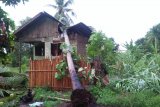 A Tornado damages 16 houses in North Aceh