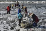 Nelayan menarik jaring 'ered' di pesisir Pantai Timur Pangadaran, Jawa Barat, Senin (10/6/2019). Pasca Lebaran Nelayan di Pangadaran kembali melaut meskipun tangkapan ikan menurun akibat gelombang tinggi dan hanya mendapatkan tangkapan udang rebon. ANTARA JABAR/Adeng Bustomi/agr