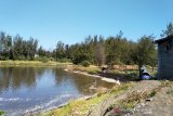 Kulon Progo kubur bangkai ikan di Laguna Trisik