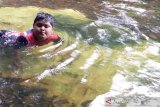 Seorang anak sedang berenang di sungai kecil berair jernih di dasar sungai tersebut terhampar bebatuan berwarna hijau ke kuningan dan hijau kebiru-biruan, tidak ada yang tahu mengenai jenis bebatuan yang terdapat dihamparan luas sungai kecil yang terletak di Desa Sungsum, Kecamatan Tebing Tinggi, Kabupaten balangan, Kalsel tersebut, karena tak ada yang tahu maka pengunjung hanya menyebutnya batu giok, perlu ada penelitian terhadap kekayaan tersebut (Antaranews Kalsel/Hasan Zainuddin)