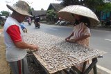 Mencari ikan sepat lalu membersihkannya kemudian dijemur di terik matahari hampir bisa terlihat setiap hari di kawasan Desa Sungai Batang, Kabupaten Banjar, Kalsel, karena mencari ikan merupakan mata pencarian sebagian warga setempat, setiap keluarga mampu menghasilkan sedikitnya tiga kilogram ikan sepat kering dengan harga Rp60 ribu per kilogramnya (Antaranews Kalsel/Hasan Z)