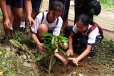 Ratusan siswa Tarakanita Kota Magelang tanam pohon di Gunung Tidar