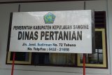 Kepulauan Sangihe kembangkan tanaman jagung