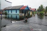 BPBD Kobar sebut ini penyebab banjir Sungai Kapitan