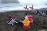 Dua petugas SAR berpatroli menggunakan kuda di Pantai Payangan, Ambulu, Jember, Jawa Timur, Kamis (13/6/2019). Patroli SAR di liburan Hari Raya Idul Fitri 1440 Hijriah tersebut untuk menyampaikan imbauan kepada para wisatawan agar tidak mandi atau bermain di laut karena berbahaya. Antara Jatim/Seno/zk.