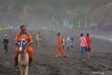 Dua petugas SAR berpatroli menggunakan kuda di Pantai Payangan, Ambulu, Jember, Jawa Timur, Kamis (13/6/2019). Patroli SAR di liburan Hari Raya Idul Fitri 1440 Hijriah tersebut untuk menyampaikan imbauan kepada para wisatawan agar tidak mandi atau bermain di laut karena berbahaya. Antara Jatim/Seno/zk.