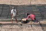 Warga bersiap menjemur udang rebon di Kampung Nelayan, Kuala Tungkal, Tanjungjabung Barat, Jambi, Minggu (2/6/2019). Kuala Tungkal bagian pesisir yang dihuni oleh banyak nelayan merupakan sentra penghasil udang rebon Provinsi Jambi yang hasil tangkapan lautnya telah dipasarkan ke sejumlah provinsi di Sumatera dan Jawa. ANTARA FOTO/Wahdi Septiawan/nz.