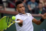 Penantian Auger-Aliassime berlanjut, kalah di final Stuttgart