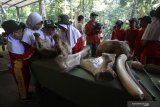 Pelajar SD Negeri 1 Jatirejo melihat tulang-tulang bagian gajah saat Pekan Edukasi Konservasi di kandang gajah Taman Safari Prigen, Pasuruan, Jawa Timur, Senin (17/6/2019). Pekan Edukasi Konservasi yang diikuti sekitar 500 pelajar tersebut merupakan program CSR bidang pendidikan yang bertujuan untuk mengenalkan prilaku gajah dan cara merawatnya berdasarkan prinsip 