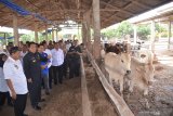 Arinal : Lampung miliki potensi besar untuk perkebunan dan ternak nasional