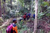 Hilang 24 jam di hutan, warga Aceh Barat Daya ditemukan selamat