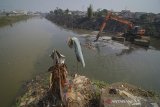 Pekerja dengan menggunakan alat berat mengeruk aliran Sungai Citarum di Baleendah, Kabupaten Bandung, Jawa Barat, Sabtu (22/6/2019). Pemerintah Provinsi Jawa Barat menargetkan masalah sampah di Sungai Citarum akan selesai dalam waktu lima tahun salah satu caranya dengan dana pinjaman dari bank dunia sebesar Rp 1,4 triliun melalui pemerintah pusat. ANTARA JABAR/Raisan Al Farisi/agr