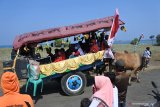 Warga menyaksikan Festival Pegon 