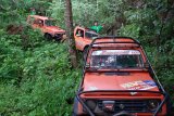 Tim off-road 'Banteng Utang' Mitra taklukan Gunung Dua Saudara