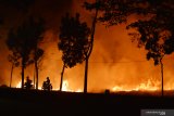 Pengendara melintasi jalan di tepi lahan persawahan yang terbakar di jalan lingkar Kota Madiun, Jawa Timur, Sabtu (22/6/2019) malam. Kebakaran yang diduga sengaja dilakukan pemilik lahan untuk membersihkan sampah pascapanen tanpa ditunggui bisa membayahakan pengguna jalan. Antara Jatim/Siswowidodo/zk