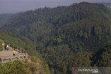 Foto udara wisatawan yang mengunjungi Tebing Keraton di Dago Pakar, Kawasan Bandung Utara, Kabupaten Bandung, Jawa Barat, Selasa (25/6/2019). Pada tahun ini, Perum Perhutani Kesatuan Pemangku Hutan (KPH) Bandung Utara mendapatkan tugas dari Kementerian Lingkungan Hidup dan Kehutanan untuk melaksanakan rehabilitasi hutan lindung seluas 1.033 hektare yang naik lima kali lipat dibandingkan dengan tahun lalu yang hanya 211 hektare. ANTARA JABAR/Raisan Al Farisi/agr