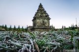 Suhu dingin telah bekukan embun daratan tinggi Dieng