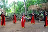 Penari menggelar acara Ritual Meras Gandrung di Desa Kemiren, Banyuwangi, Jawa Timur, Kamis (27/6/2019). Meras Gandrung merupakan ritual wisuda penari gandrung setelah penari dinyatakan lulus dalam mengikuti serangkaian ujian mulai dari gerakan tari dan lekukan suara sinden agar menjadi gandrung sejati. Antara Jatim/Budi Candra Setya/zk.