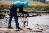 Teknisi mengganti daya baterai saat uji coba penggunaan wahana tak berawak atau drone untuk menebar benih padi di Persawahan kawasan Krian, Sidoarjo, Jawa Timur, Sabtu (29/6/2019).  Drone untuk menebar benih padi langsung di atas sawah tersebut bertujuan untuk mengurangi beban para petani dan meningkatkan efisiensi pertanian yang biasanya melibatkan proses penanaman bibit yang ditumbuhkan dari benih secara terpisah. Antara Jatim/Umarul Faruq/zk