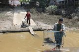 Satu keluarga kera ekor panjang dilepasliarkan ke hutan